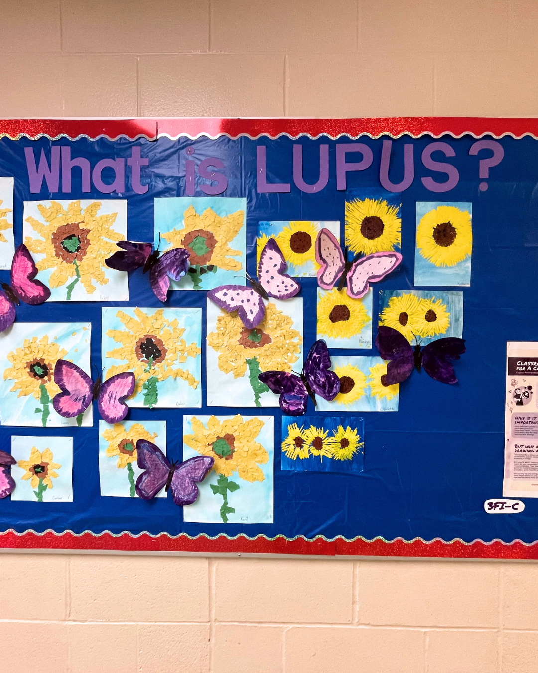 Bulletin board display featuring purple paper butterflies and educational information about lupus for students.
