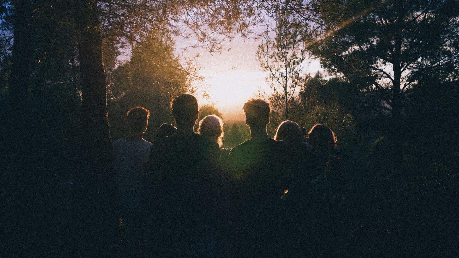 Groupe de personnes debout ensemble dans une forêt au coucher du soleil, symbolisant la communauté, l’espoir et l’unité.