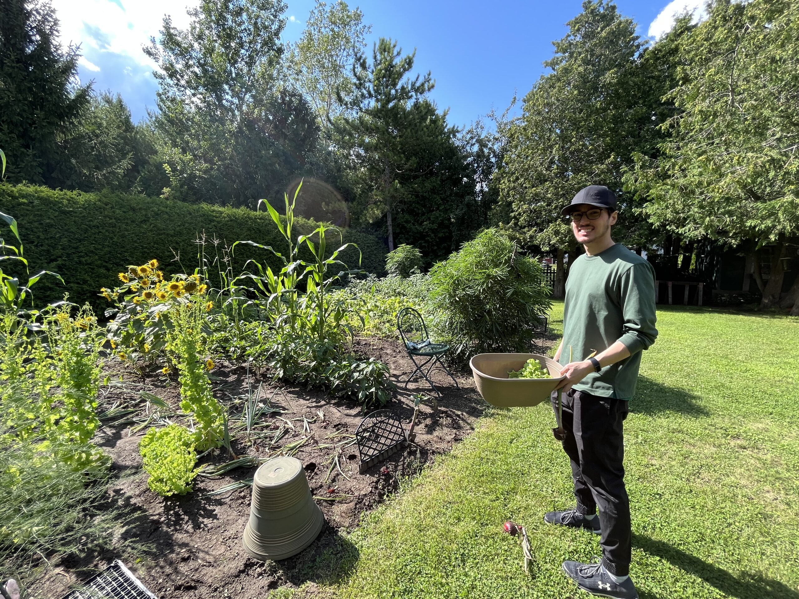 Jonathan holding a garden bowl, standing in a sunny garden with leafy greens and sunflowers around him