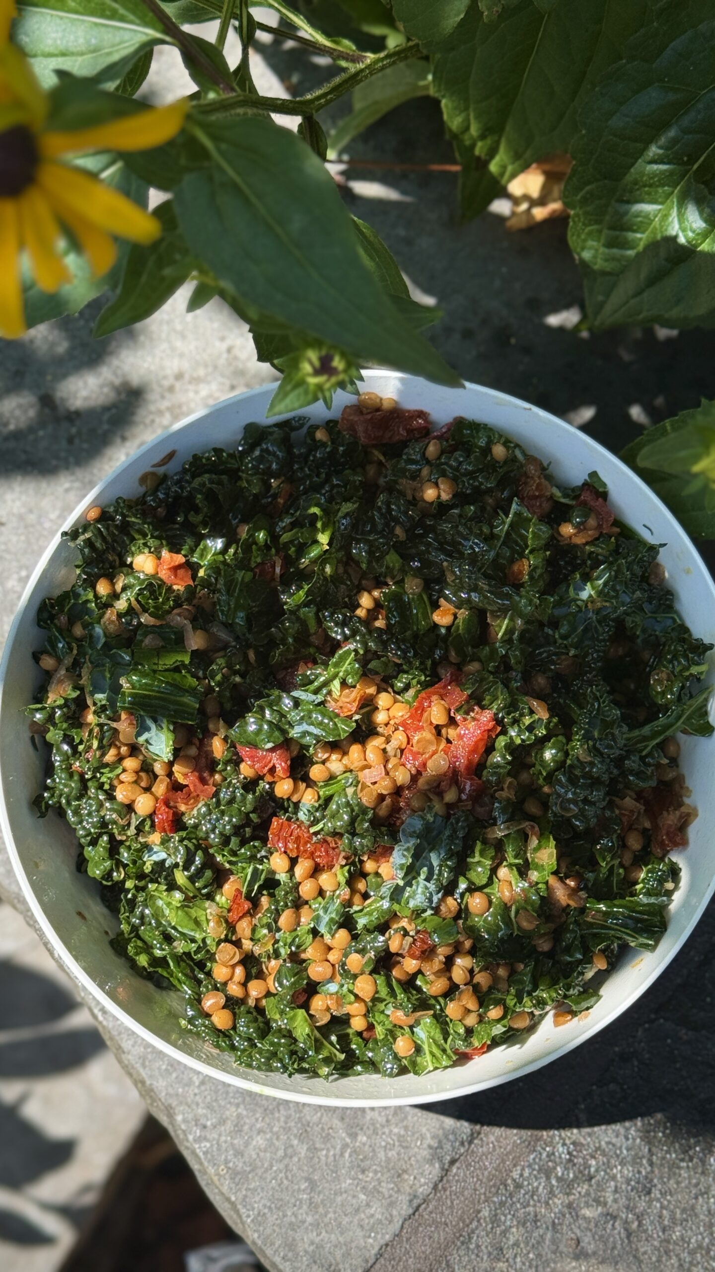 Bol de salade de lentilles au chou frisé avec tomates séchées et échalotes caramélisées, mélangées à une vinaigrette au citron et au xérès