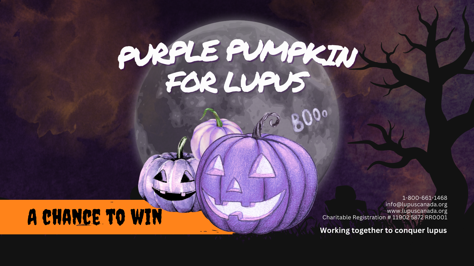 Purple Pumpkin for Lupus 2025 | Raise Awareness This Halloween Purple pumpkins under a full moon with the text "Purple Pumpkin for Lupus" promoting Lupus Canada’s 2025 awareness campaign.