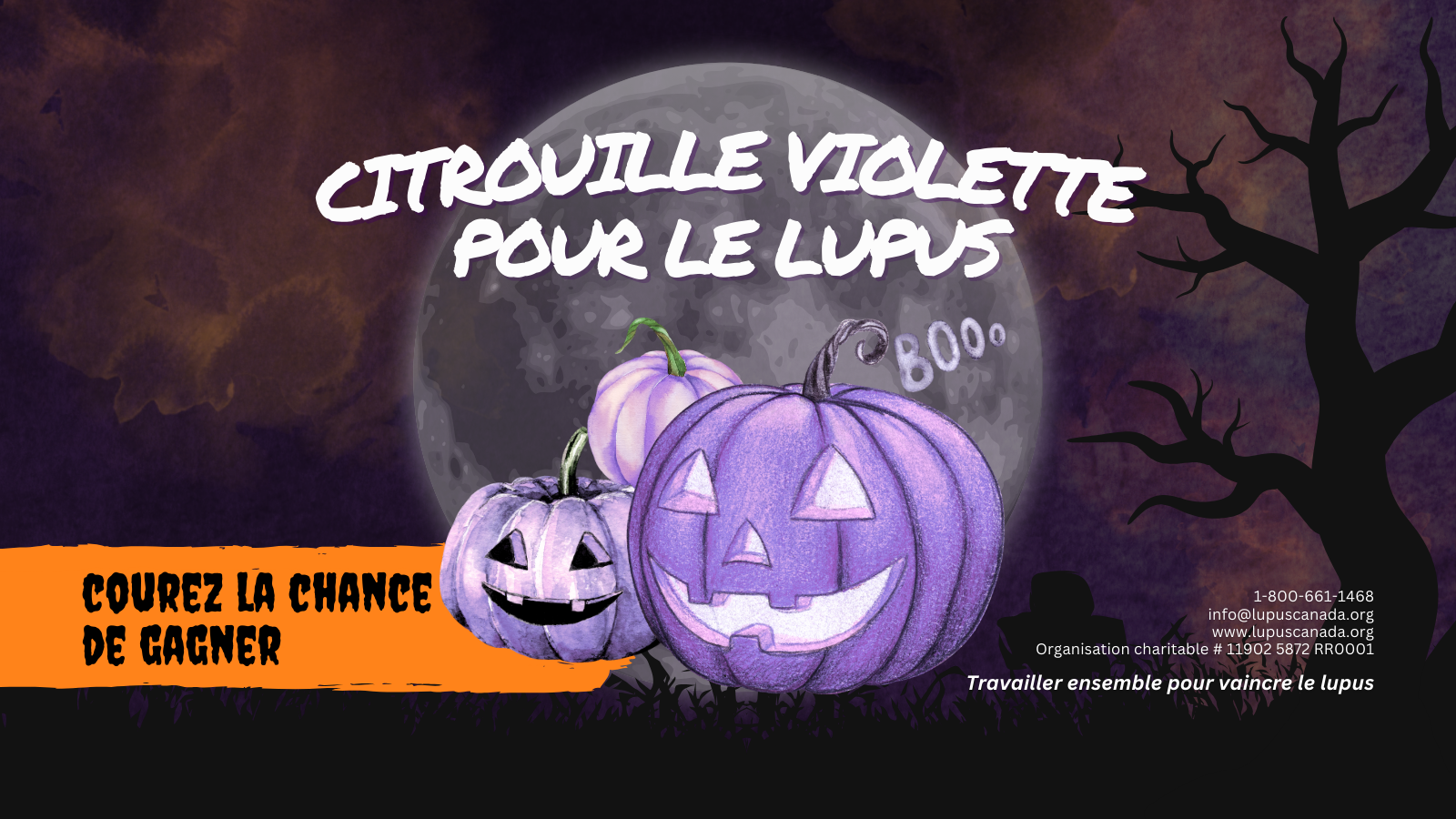 Citrouilles violettes sous une pleine lune avec le texte « Citrouille violette pour le lupus » faisant la promotion de la campagne de sensibilisation 2025 de Lupus Canada.