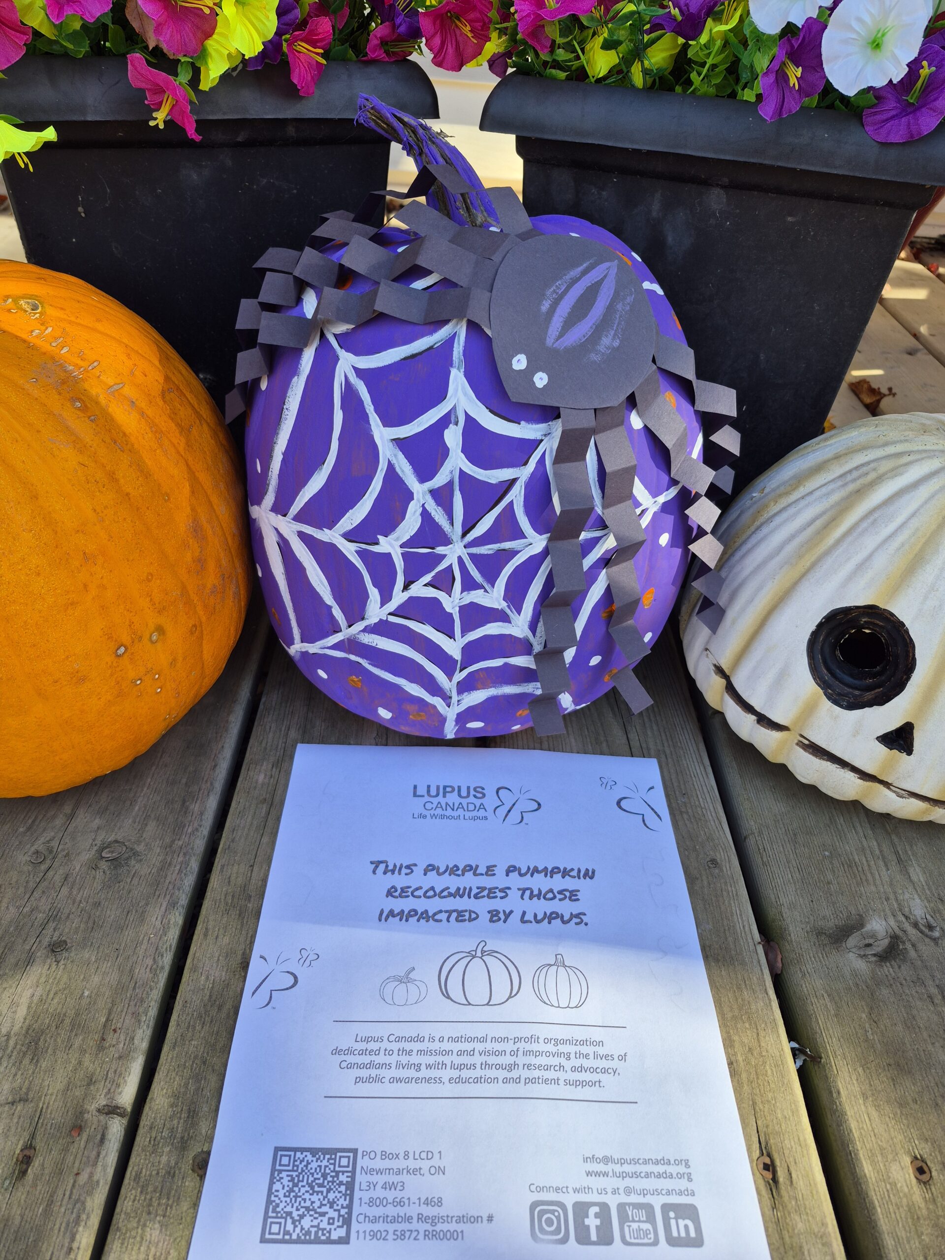 Une citrouille peinte en violet, décorée d'une toile d'araignée blanche et d'une grande araignée en papier noir, placée à côté d'une affiche de Lupus Canada rendant hommage aux personnes touchées par le lupus.