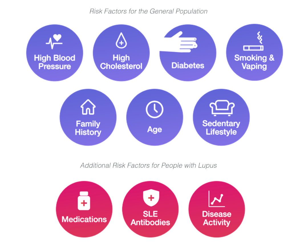 Infographie sur le lupus et les facteurs de risque pour la santé cardiaque